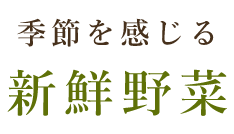 季節を感じる 新鮮野菜