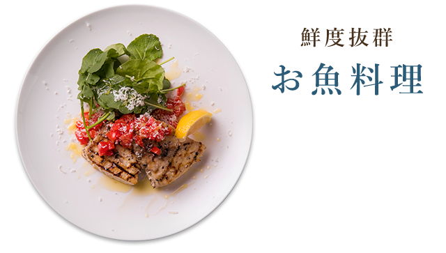 鮮度抜群 お魚料理